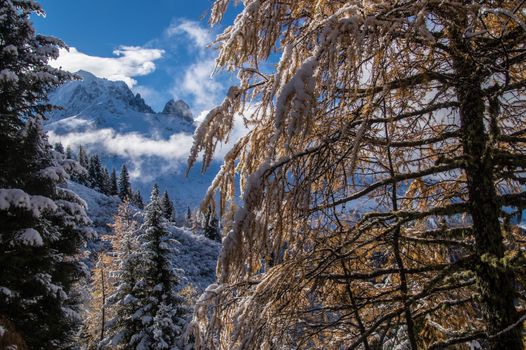 pecleret,chamonix,haute savoie,france
