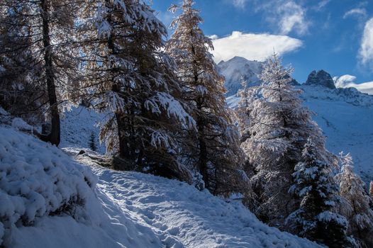 pecleret,chamonix,haute savoie,france