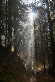 pecleret,chamonix,haute savoie,france