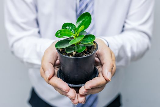 Image of young office man holding potted plants, concept of planting trees in love with the world