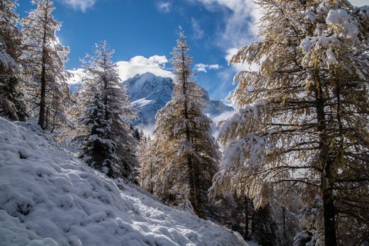 pecleret,chamonix,haute savoie,france