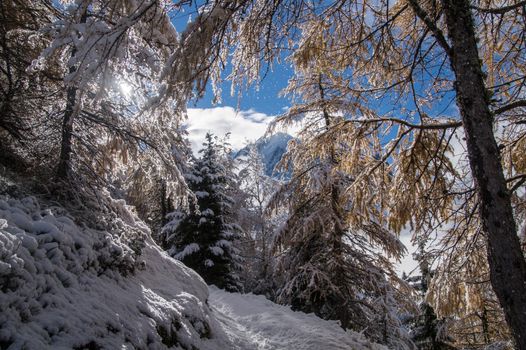 pecleret,chamonix,haute savoie,france