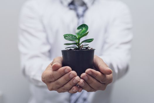 Image of young office man holding potted plants, concept of planting trees in love with the world