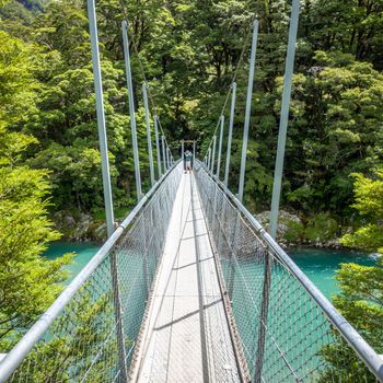 An image of the Haast River Landsborough Valley New Zealand
