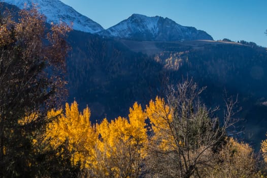 la flatiere,chamonix,haute savoie ,france