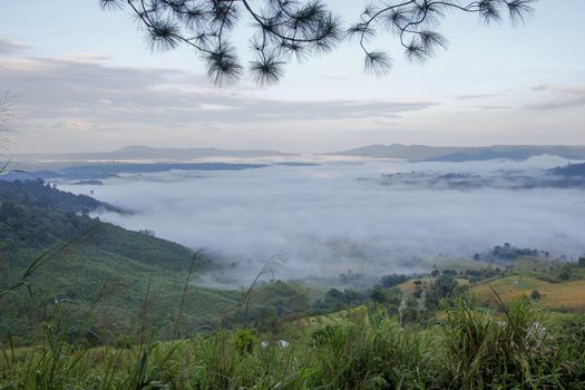 Sea of fog in Khao Kho at thailand.