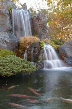 Close up beautiful waterfall in autumn at japan .