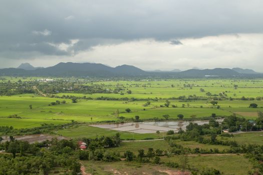 filed landscape in thailand.