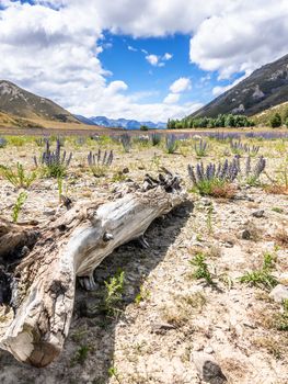 An image of a landscape scenery in south New Zealand