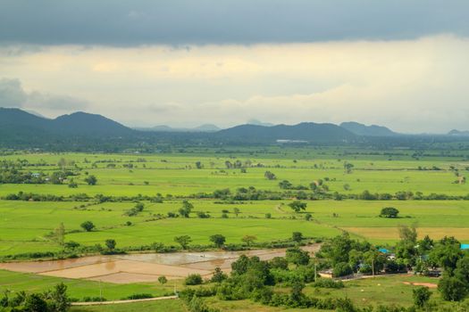 filed landscape in thailand.