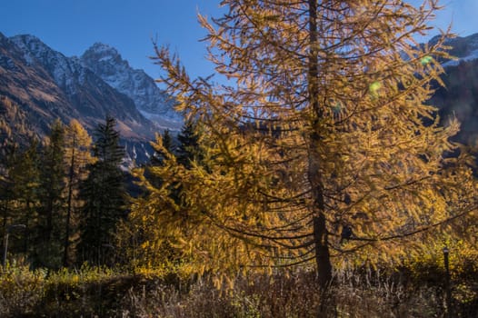argentiere,chamonix,haute savoie,france