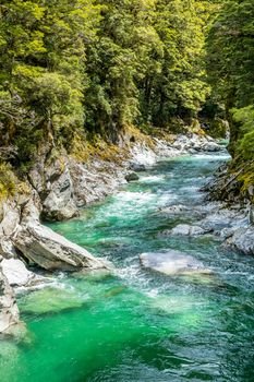 An image of the Haast River Landsborough Valley New Zealand