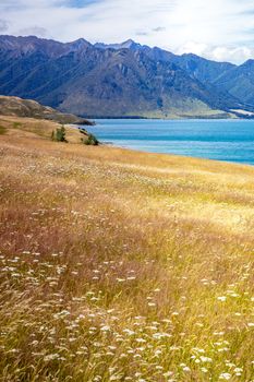 An image of the lake Wanaka; New Zealand south island