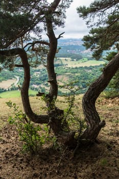 Haute loire