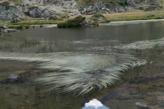 lac du taillefer,isere,france
