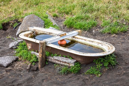 An image of an old tub for animals potions