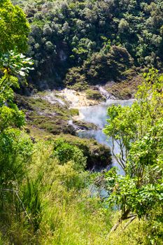 An image of a volcanic activities at waimangu new zealand