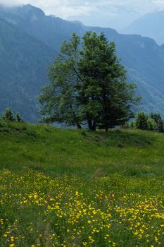 creux de la cierge,vaud,swiss