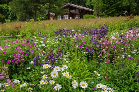 montroc,chamonix,haute savoie,france