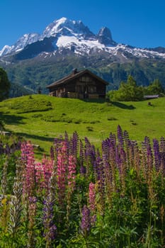 trelechamp,chamonix,haute savoie,france