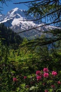 col des montets,chamonix,haute savoie,france