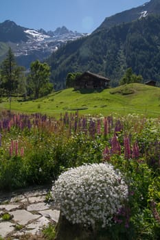 trelechamp,chamonix,haute savoie,france