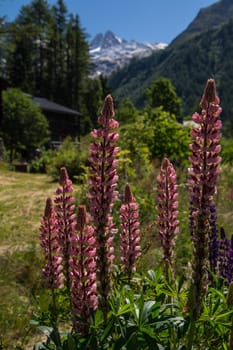 trelechamp,chamonix,haute savoie,france