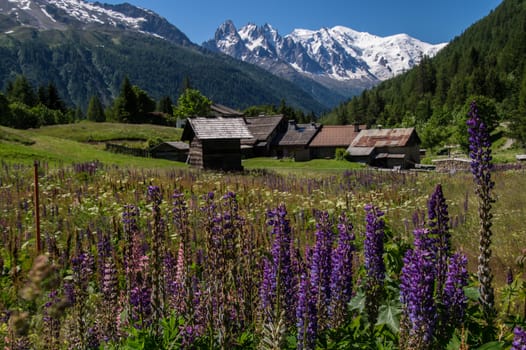 trelechamp,chamonix,haute savoie,france