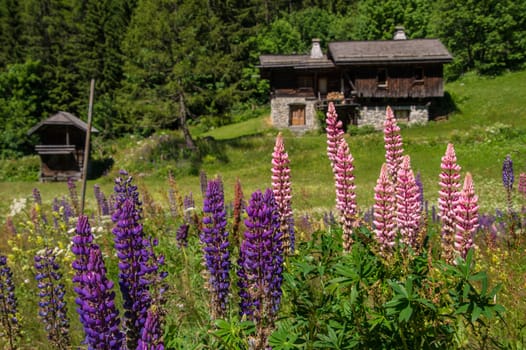 trelechamp,chamonix,haute savoie,france