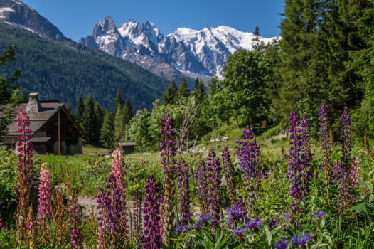 trelechamp,chamonix,haute savoie,france