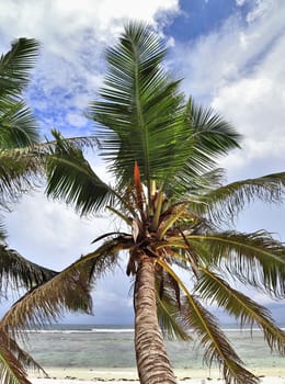 Stunning high resolution beach panorama taken on the paradise islands Seychelles.