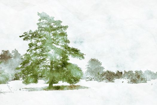 A winter landscape scenery with a pine tree digital watercolor painting