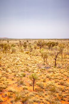 An image of a landscape scenery of the Australia outback