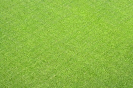 A photography of a green grass lawn texture background