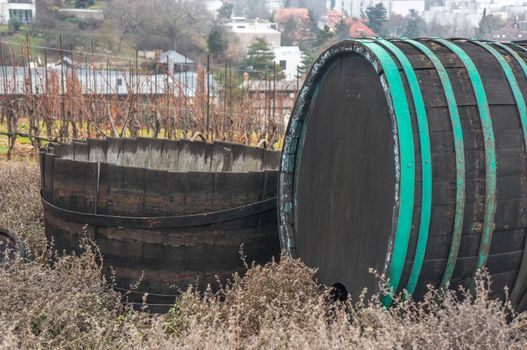 Large brown vintage wine casket with bright turquoise brass details next to a large open barrel. Daylight setting in autumn season at St. Claire's vineyard, Prague.