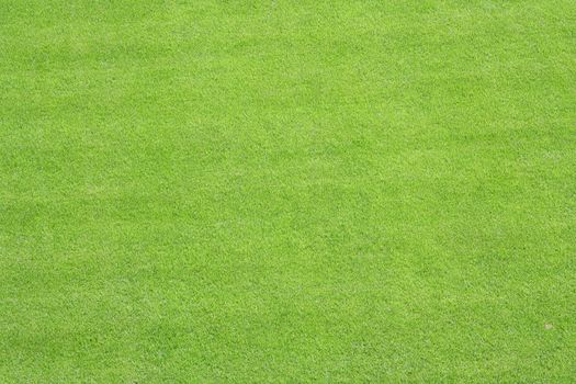 A photography of a green grass lawn texture background