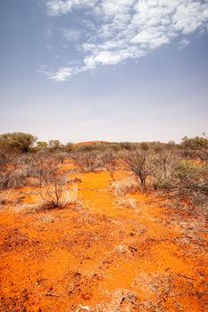 An image of a landscape scenery of the Australia outback