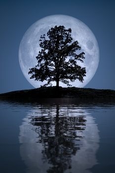 An image of a beautiful full moon with tree lake reflections