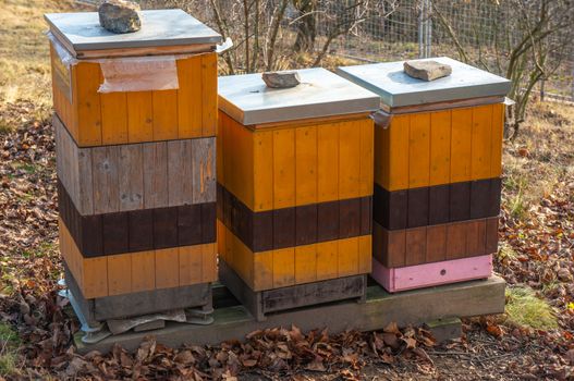 Three vibrant yellow, orange and pink beehives standing among dry fall leaves. Shot in the Botanical Gardens, Troja, Czech Republic on a bright day. Soft light and orange tones for an autumn concept