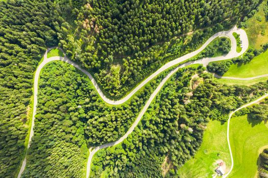 An image of a winding road in the black forest area germany