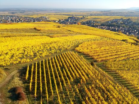 An image of a flight over vineyard Alsace France