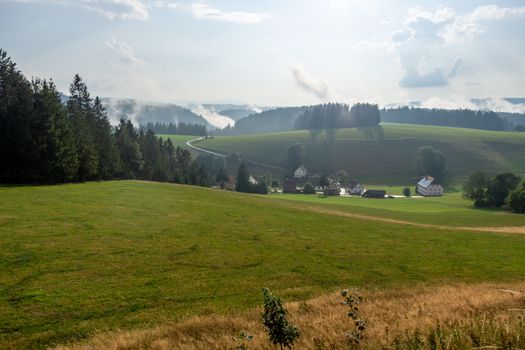 An image of a misty landscape with trees black forest area germany