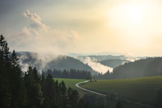 An image of a misty landscape with trees black forest area germany