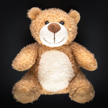 An image of a teddy bear isolated on black background