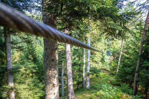 An image of a zipline in the black forest germany