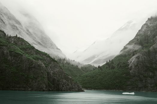 Inside Passage - Tracy Arm Landscape, Alaska