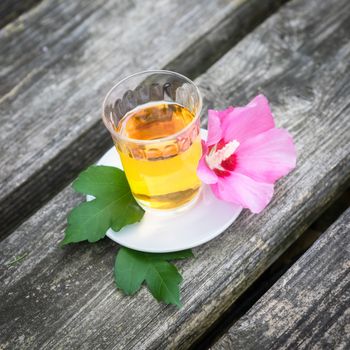 A mallow tea with blossom on old wooden background