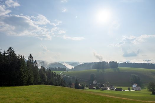 An image of a misty landscape with trees black forest area germany