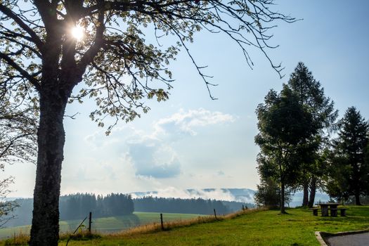 An image of a misty landscape with sunshine through trees black forest area germany