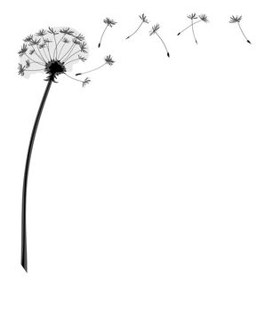 An illustration of a dandelion flower with flying seeds